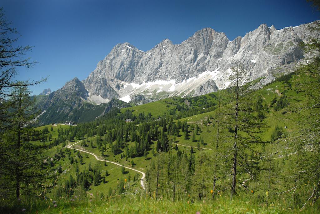 Alpenblick Apartments Ramsau am Dachstein Exterior foto